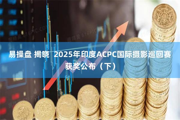 易操盘 揭晓  2025年印度ACPC国际摄影巡回赛获奖公布（下）