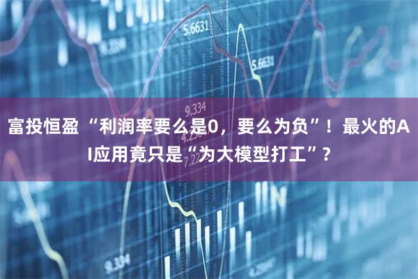 富投恒盈 “利润率要么是0,要么为负”!最火的AI应用竟只是“为大模型打工”?