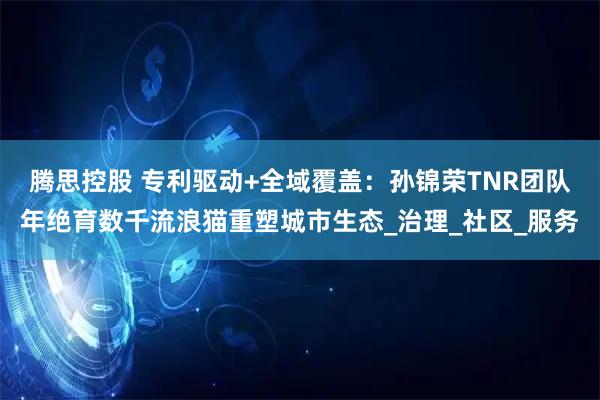 腾思控股 专利驱动+全域覆盖：孙锦荣TNR团队年绝育数千流浪猫重塑城市生态_治理_社区_服务