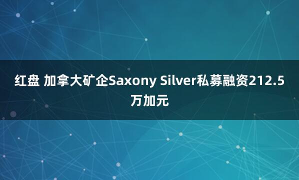 红盘 加拿大矿企Saxony Silver私募融资212.5万加元